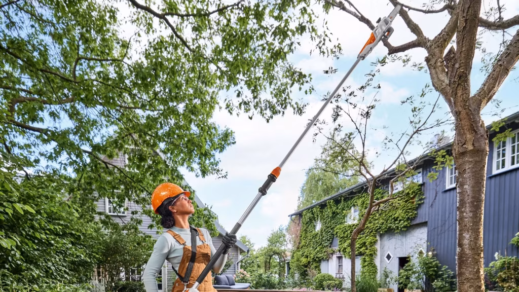 Den nye stangsav STIHL HTA 30 gør det enkelt at pleje pryd- og frugttræer nede fra jorden.