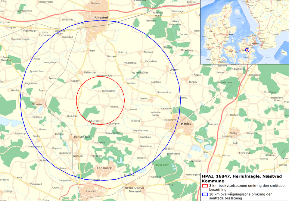 Styrelsen for Fødevarer, Landbrug og Fiskeri har nu oprettet en beskyttelseszone i en 3 km radius samt en overvågningszone i en 10 km radius omkring den smittede besætning.