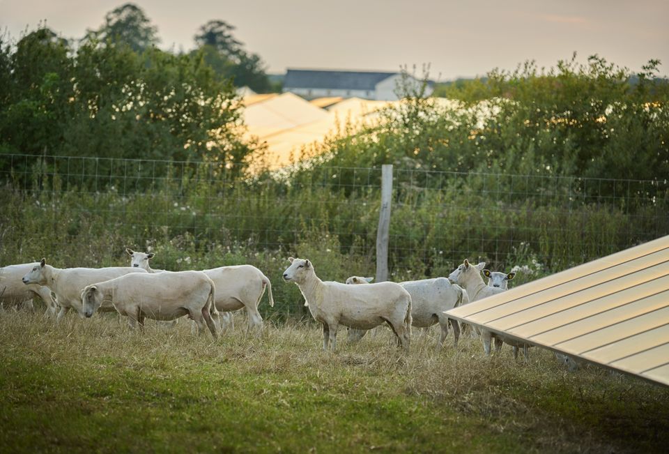 Trods mange timer med billig strøm fra solenergi, har maj måned været en dyr en måned årstiden taget i betragtning.