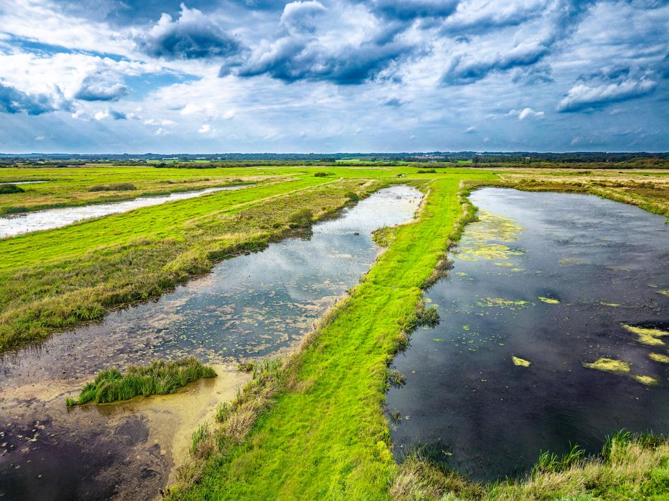Danmark skal have vådområderne tilbage: Nyt studie viser, hvor klimaeffekten er størst